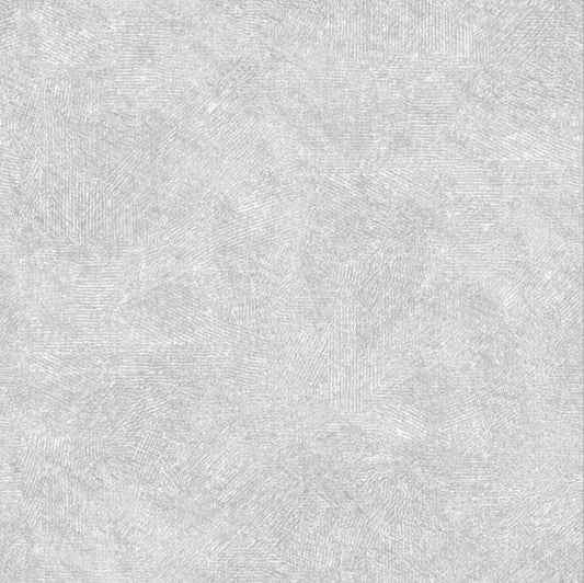 CT36071
